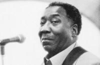 Muddy Waters